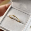 Nico Taemans gouden ring met diamant