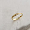 Nico Taeymans geel gouden ring met diamant