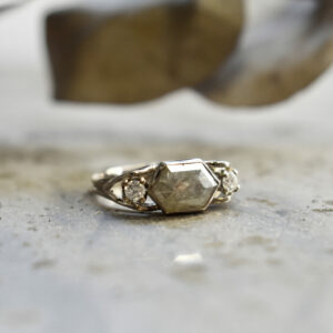 Nico Taeymans wit gouden ring salt and pepper diamant