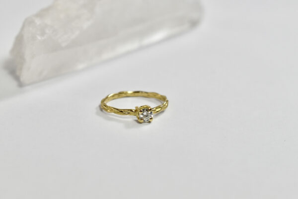 Nico Taeymans verlovings ring met diamant en gevlochten ring