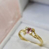 Nico Taeymans geel gouden ring met saffier en diamant