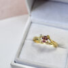 Nico Taeymans gouden ring met saffier en diamant