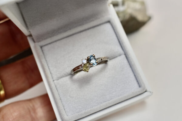 Nico Taeymans wit gouden ring met aquamarijn en diamant